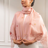 Jaipur in Cashmere
