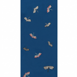 Dragonflies In Merino